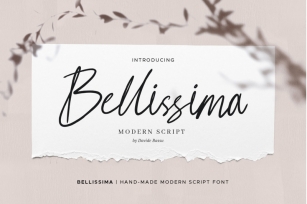 Bellissima - Messy & Modern Script Font Download