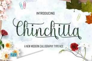 Chinchilla Script Font Download