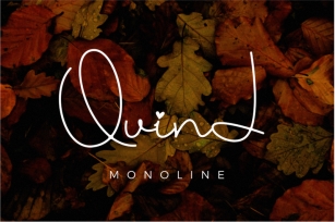 Quind Monoline Signature Font Download