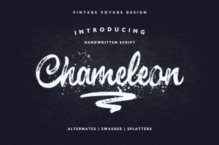 Chameleon • Impressive Brush Script Font Download