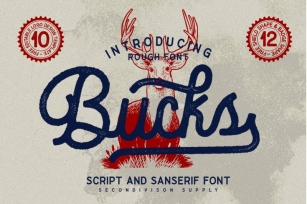 Bucks Script Font Download