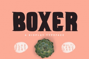 Boxer Typeface Font Download