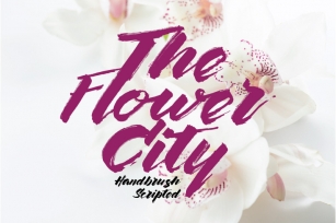 The Flower City Font Download