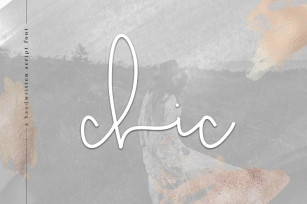 Chic - A Handwritten Script Font Font Download