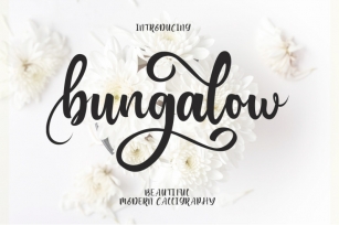 Bungalow Script Font Download