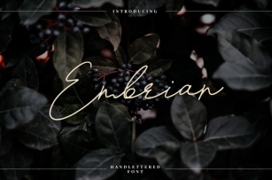 Embrain Font Download