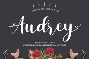 Audrey Font Download
