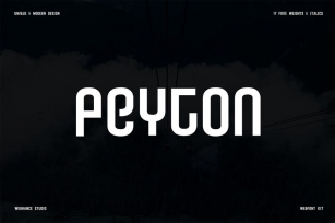 Peyton font family with 34 Variants Font Download