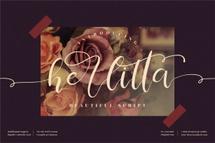 Herlitta Font Download