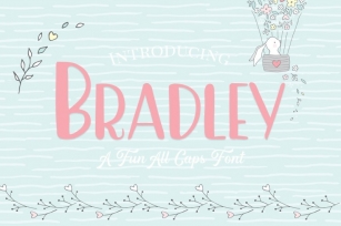 Bradley Font Font Download