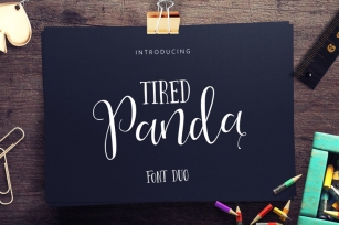 Tired Panda Script (40% Off) Font Download