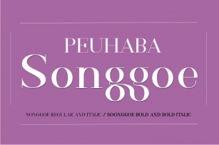 PEUHABA Songgoe Regular Font Download