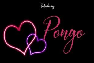 Pongo Font Font Download