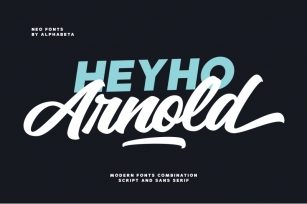 Arnold Family | 3 Font Combination Font Download