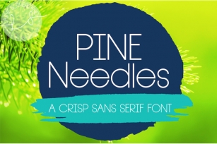 Pine Needles Font Download