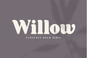 willow Font Download