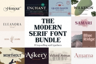 The Modern Serif Font Bundle Font Download