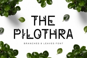 Web Philothra Font Download