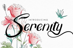 Serenity  Font Download