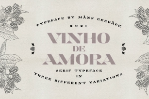 Vinho de Amora — Minimalist Serif Font Download
