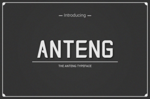 Anteng | Dual Width Font Font Download