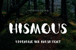 Uppercase brush ink dirty font Font Download