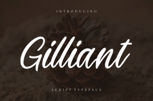 Gilliant Script Typeface Font Download