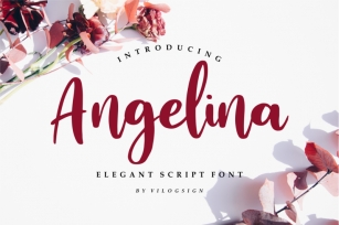 Angelina // Playful Script Font Font Download