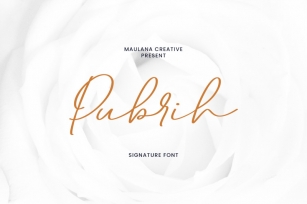 Pubrih Signature Font Font Download