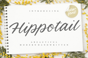 Hippotail Beautiful Modern Handwritten Font Font Download
