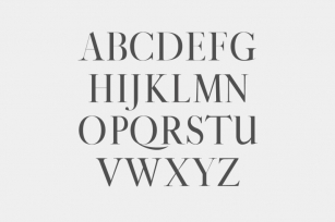 Gunma Serif Font Family Font Download