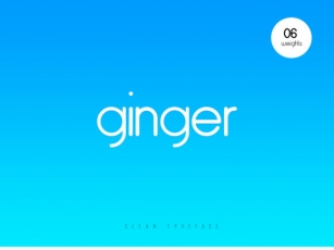 Ginger Font Download