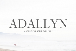 Adallyn Serif Font Family Font Download