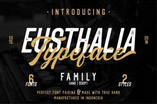 Eusthalia Typeface Family (6 Fonts) Font Download