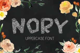 NORY Font Download