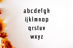 Chrys Sans Serif Typeface Font Download