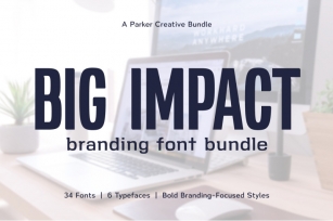 Big Impact Branding Font Bundle Font Download