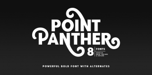 Point Panther Font Download