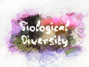 B Biological Diversity Font Download