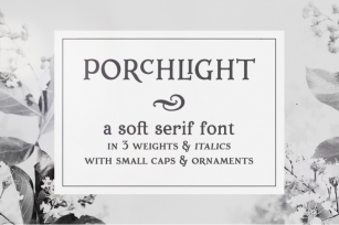 Porchlight trendy serif font Font Download