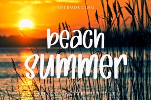 Beach Summer Font Download