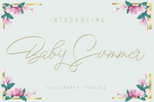 Baby Summer Font Download