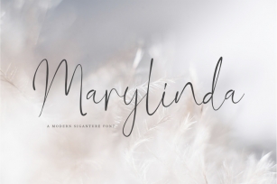 Marylinda Beauty and Modern Signature Font Font Download