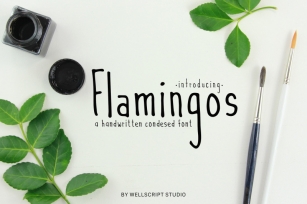 Flamingos - A Handwritten Condesed Font Font Download