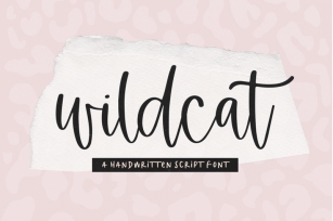 Wildcat - A Handwritten Script Font Font Download