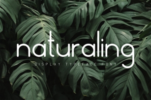 Naturaling Display Font Font Download