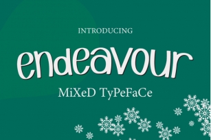 Endeavour Mixed Typeface Font Download