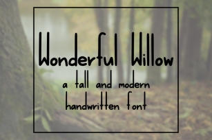Wonderful Willow: a tall and modern handwritten font Font Download