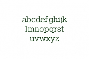 Garvin Slab Serif Font Family Font Download