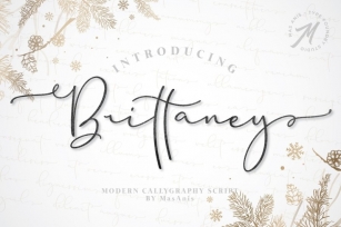 Brittaney // Modern Calligraphy Font Font Download